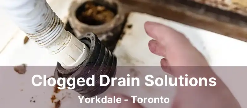 Clogged Drain Solutions Yorkdale - Toronto