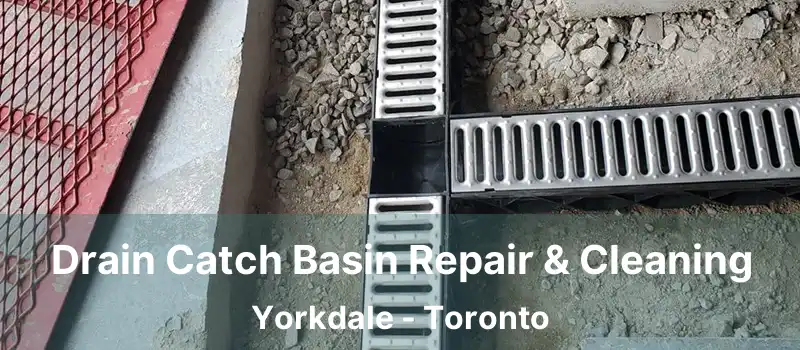  Drain Catch Basin Repair & Cleaning Yorkdale - Toronto