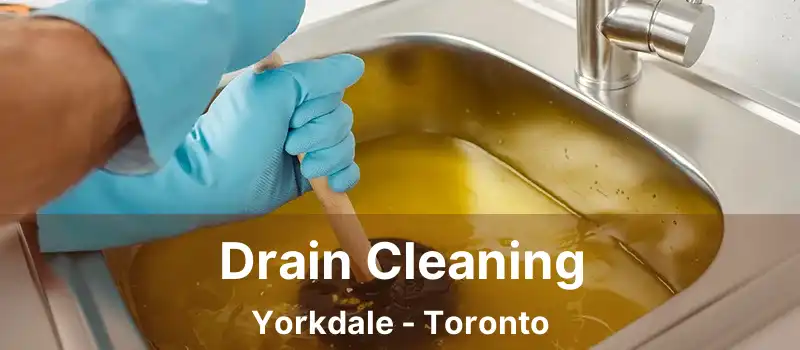 Drain Cleaning Yorkdale - Toronto