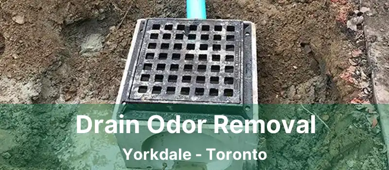  Drain Odor Removal Yorkdale - Toronto