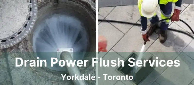 Drain Power Flush Services Yorkdale - Toronto