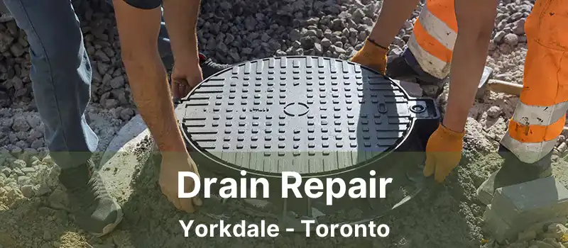Drain Repair Yorkdale - Toronto