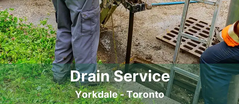  Drain Service Yorkdale - Toronto