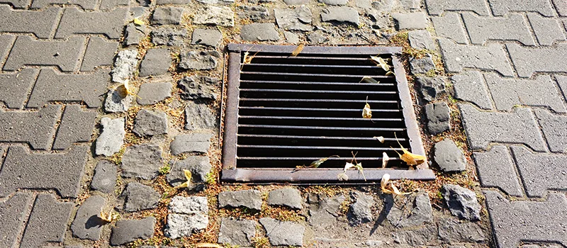 Catch Basin Installation and Maintenance in Yorkdale, Toronto
