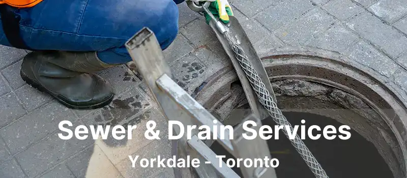  Sewer & Drain Services Yorkdale - Toronto