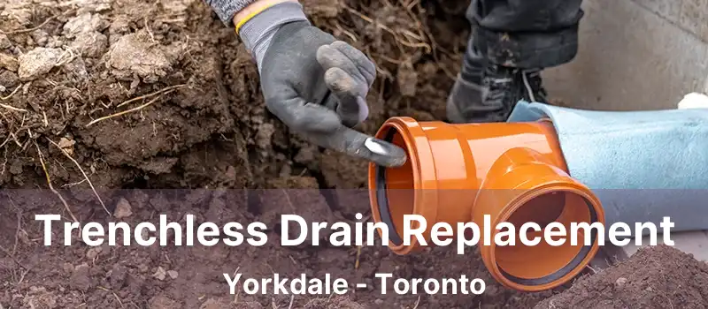  Trenchless Drain Replacement Yorkdale - Toronto